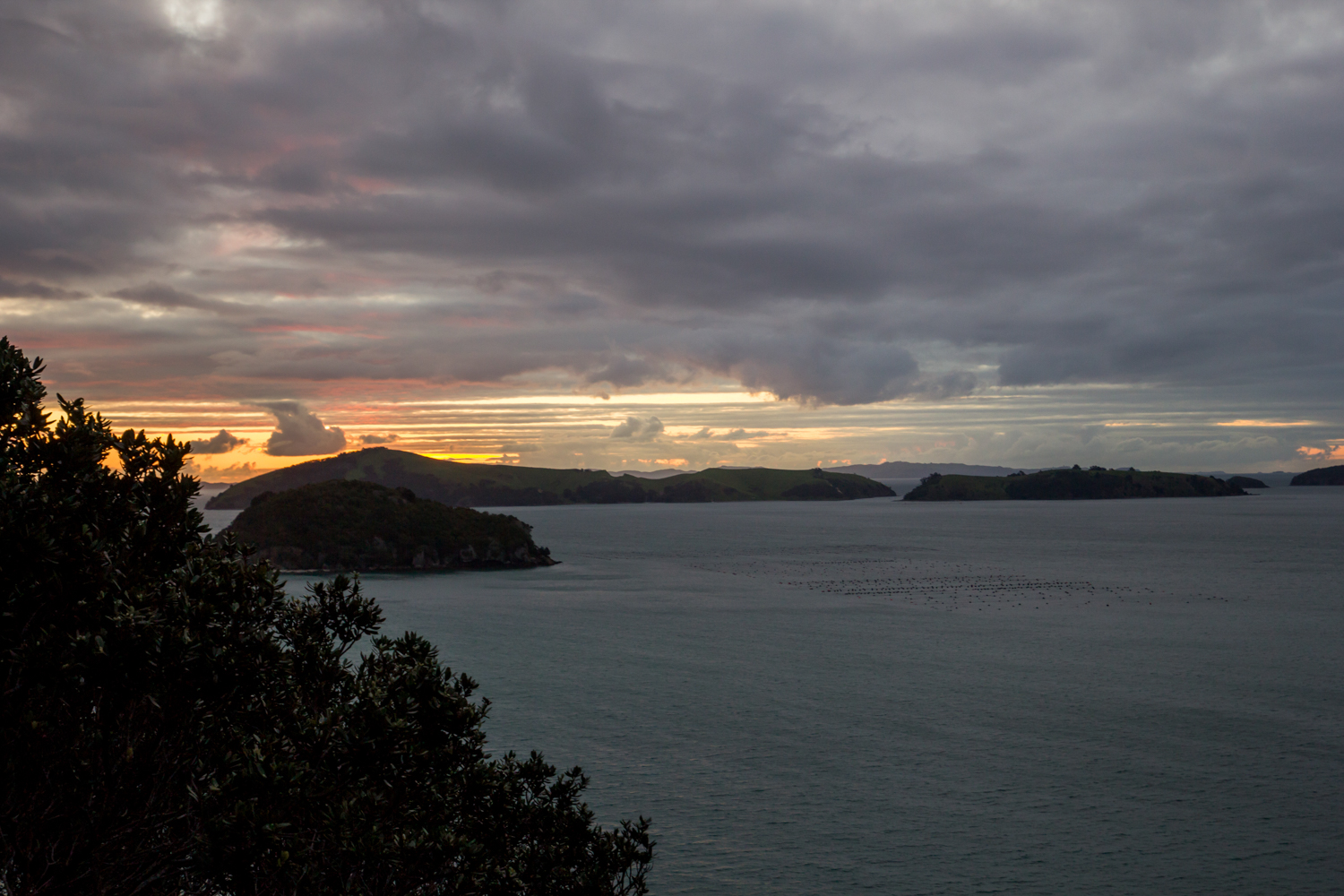 NewZealand-8712.jpg