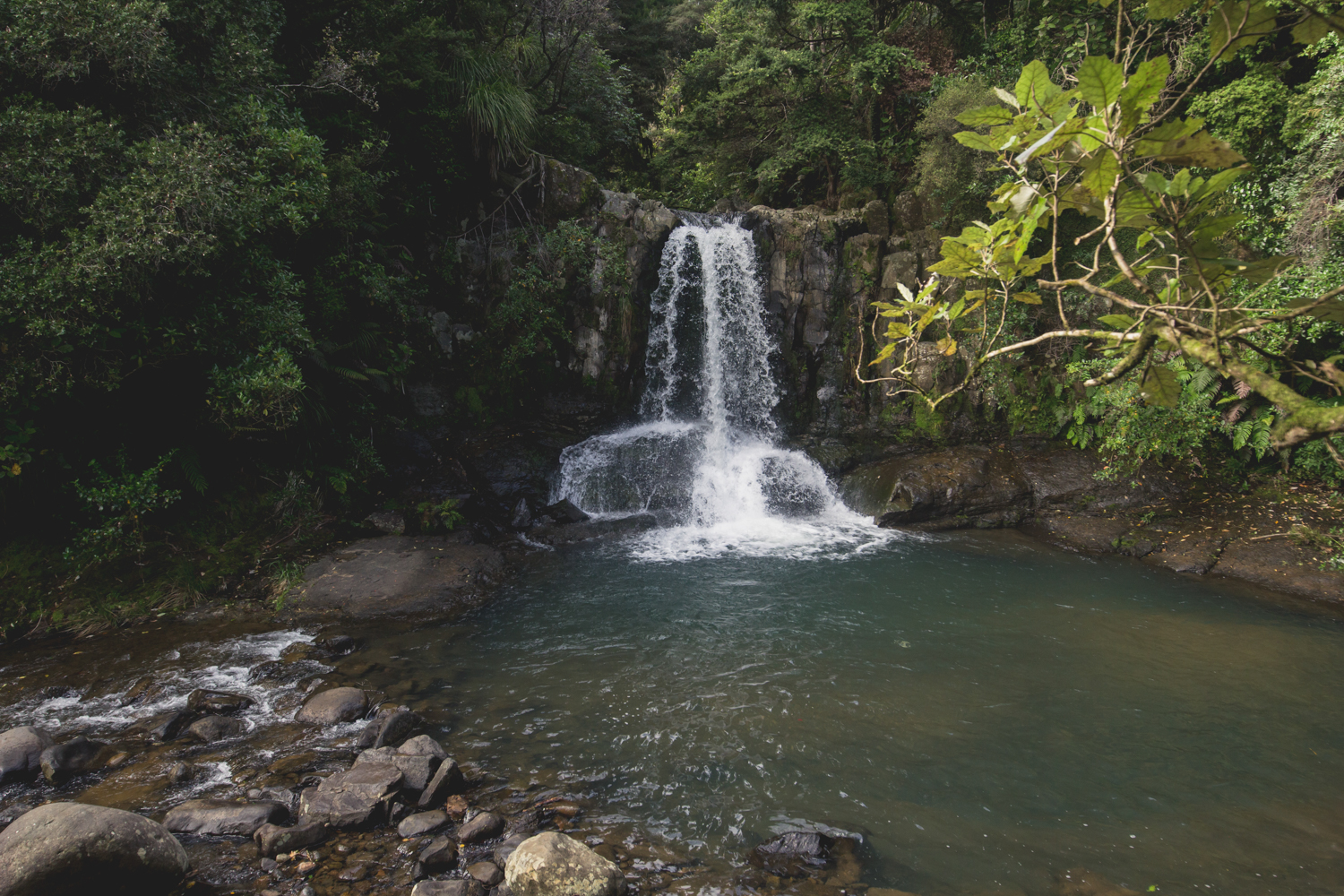NewZealand-8743-3.jpg