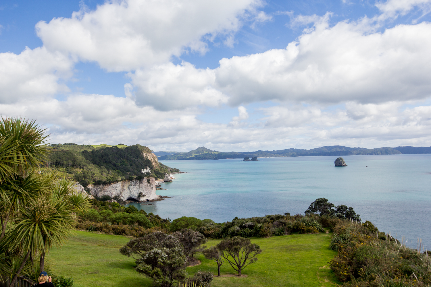 NewZealand-8758.jpg
