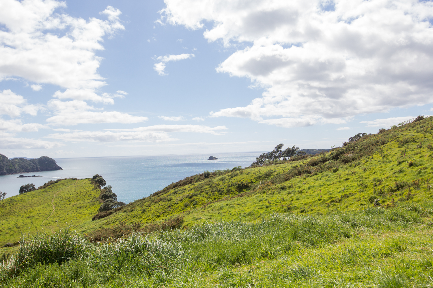 NewZealand-8774.jpg