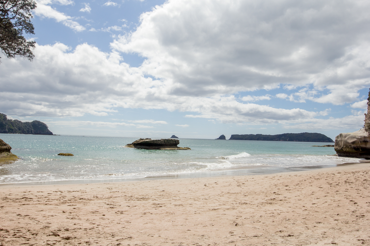 NewZealand-8781.jpg