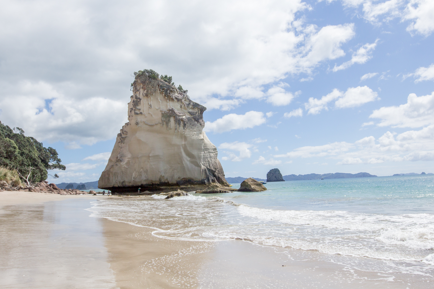 NewZealand-8844.jpg