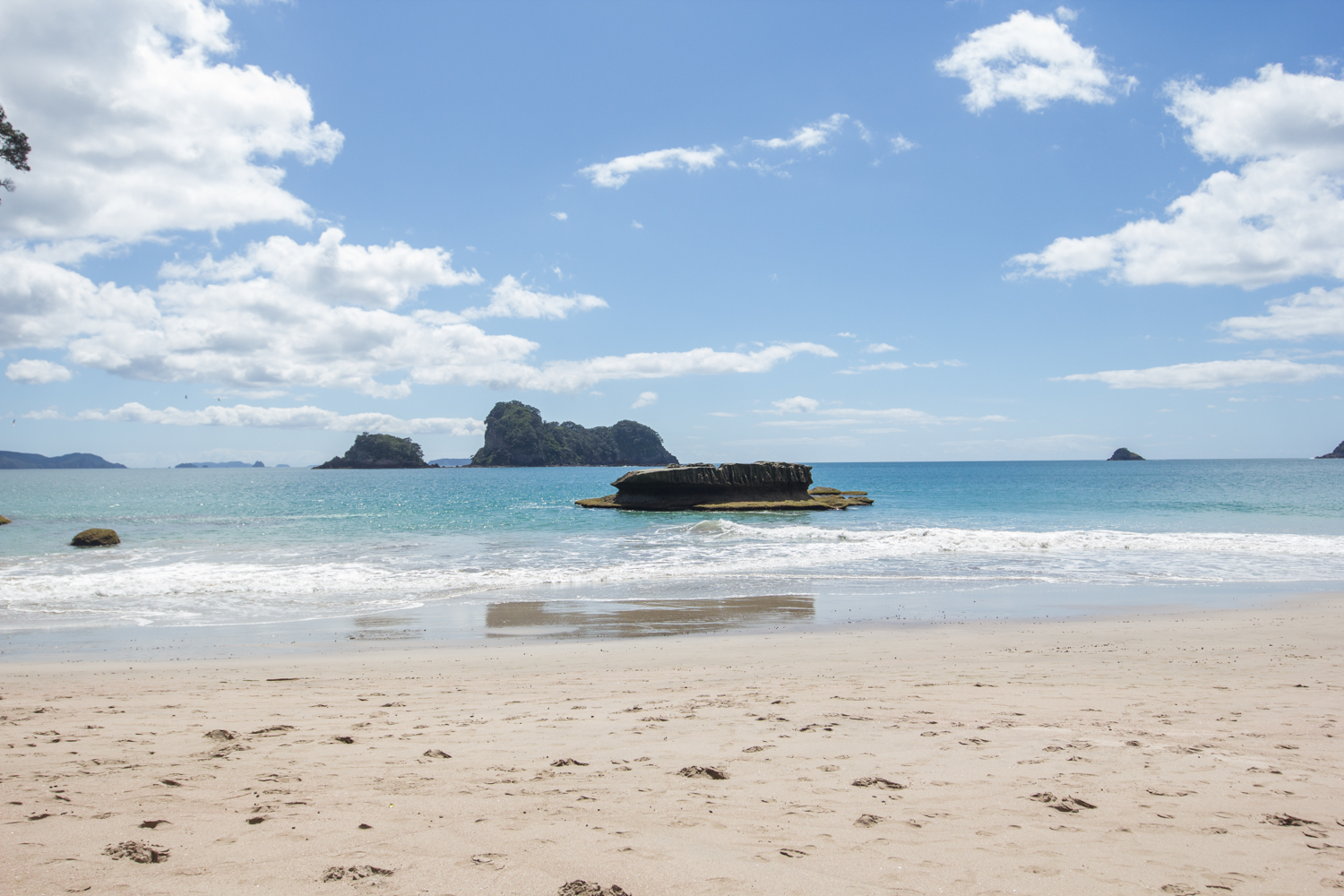 NewZealand-8903.jpg