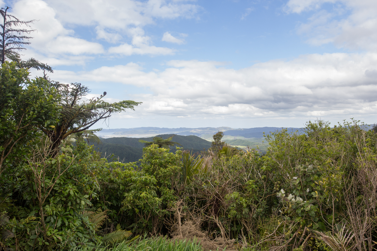 NewZealand-8917.jpg