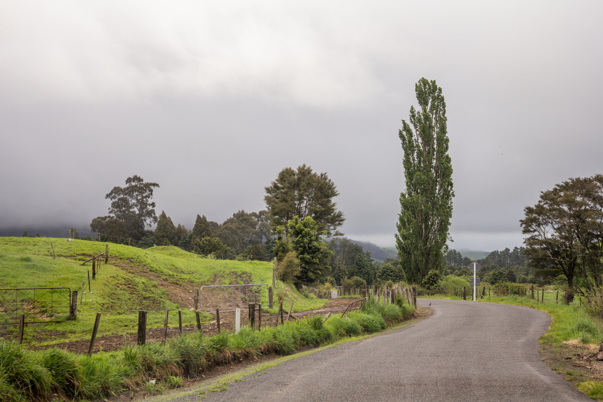 NewZealand-8586.jpg