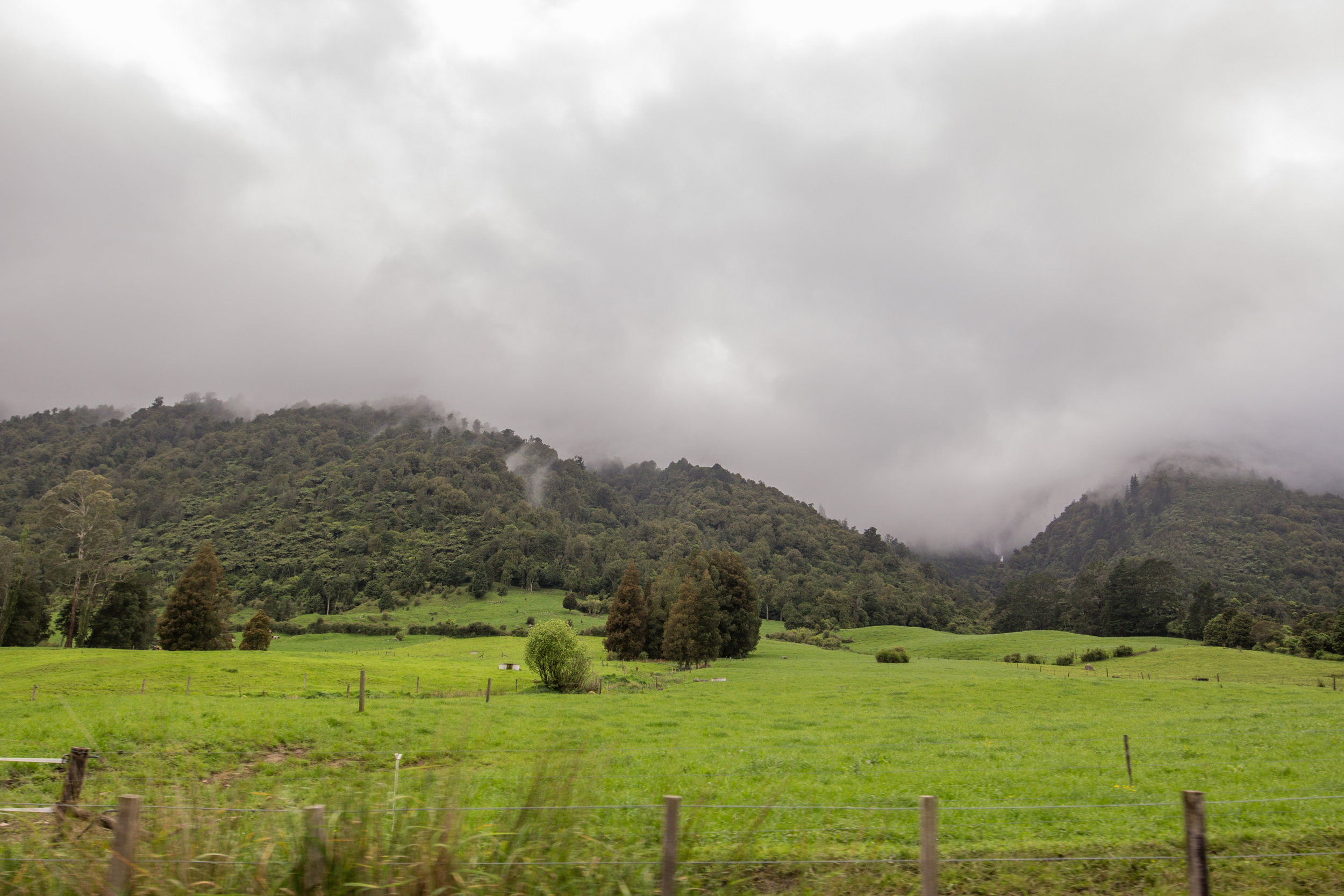 NewZealand-8588.jpg