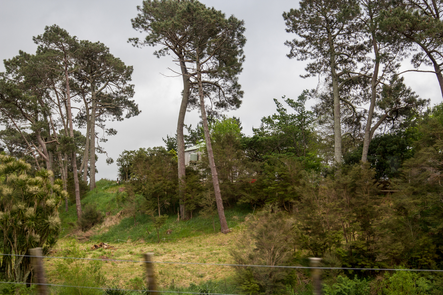 NewZealand-8580.jpg