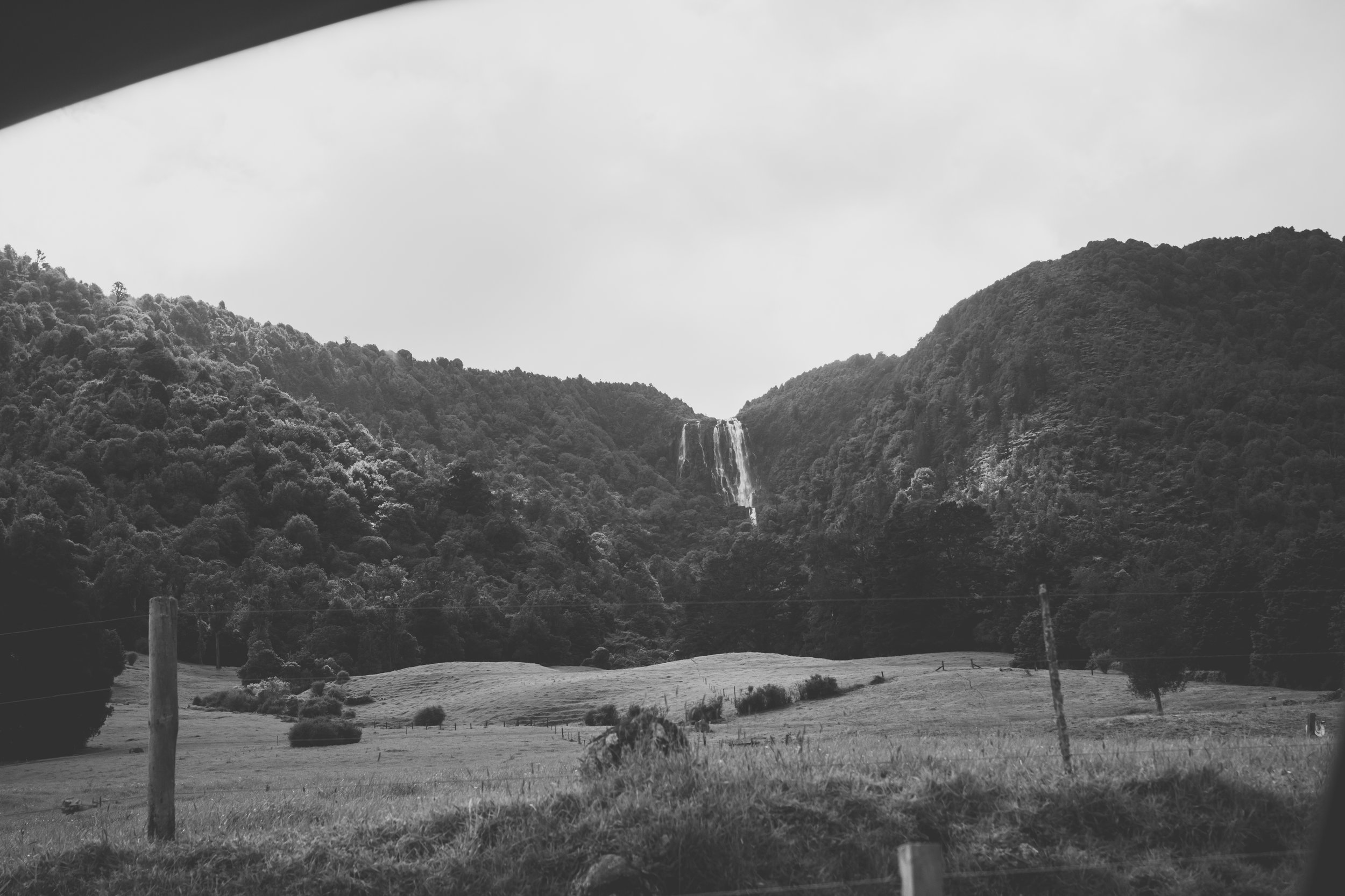 NewZealand-8679.jpg