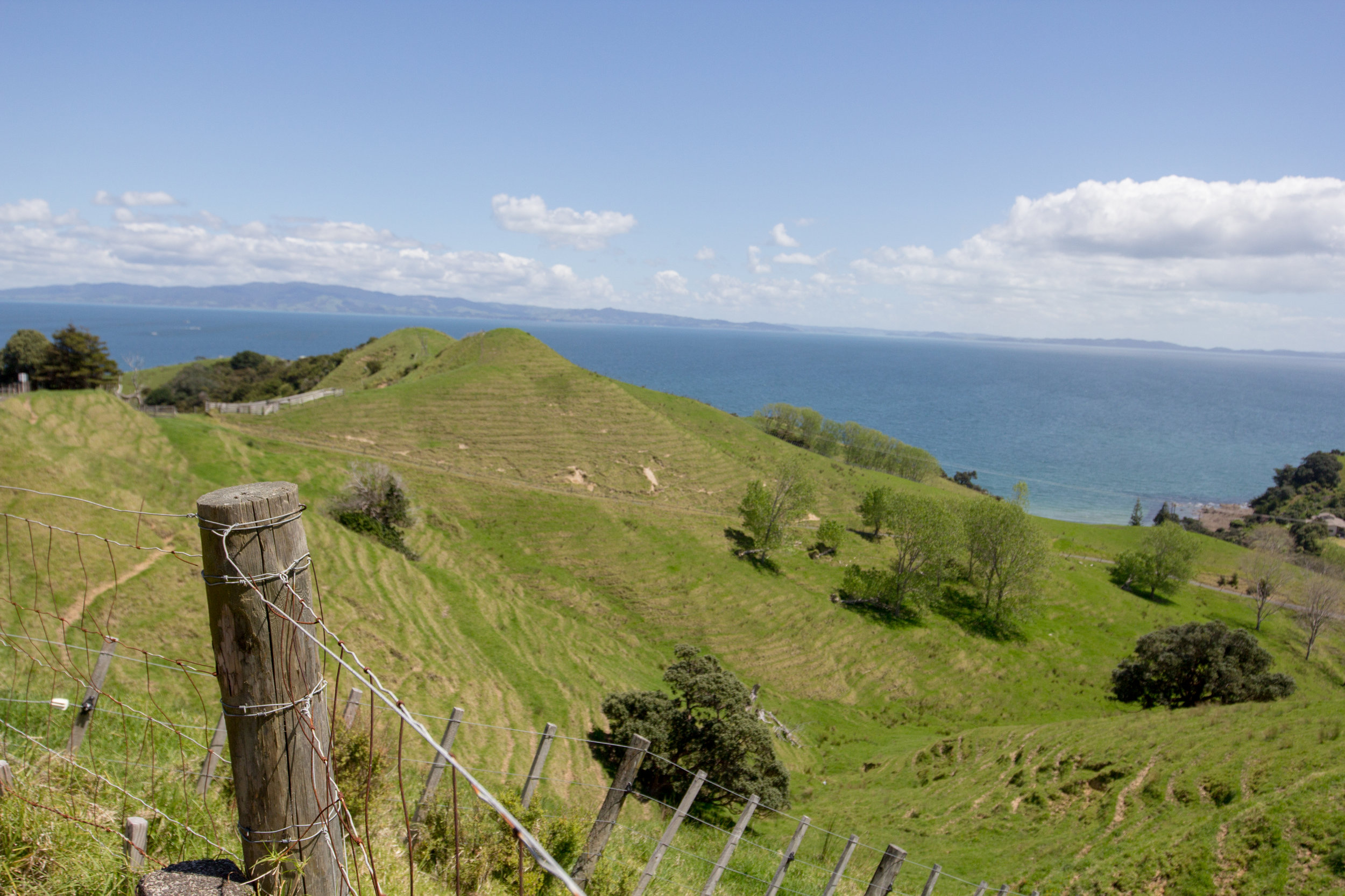 NewZealand-8689.jpg