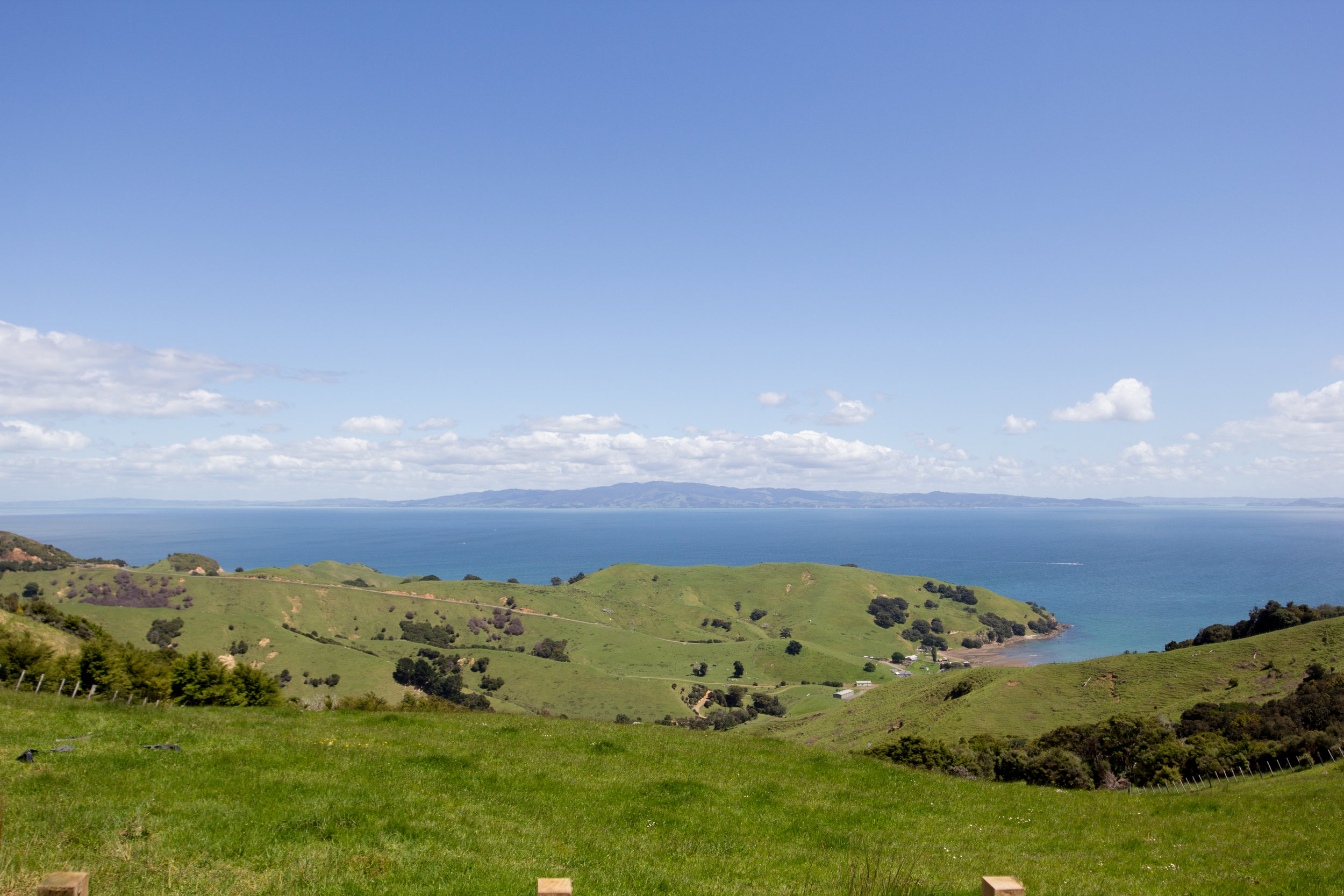 NewZealand-8702.jpg