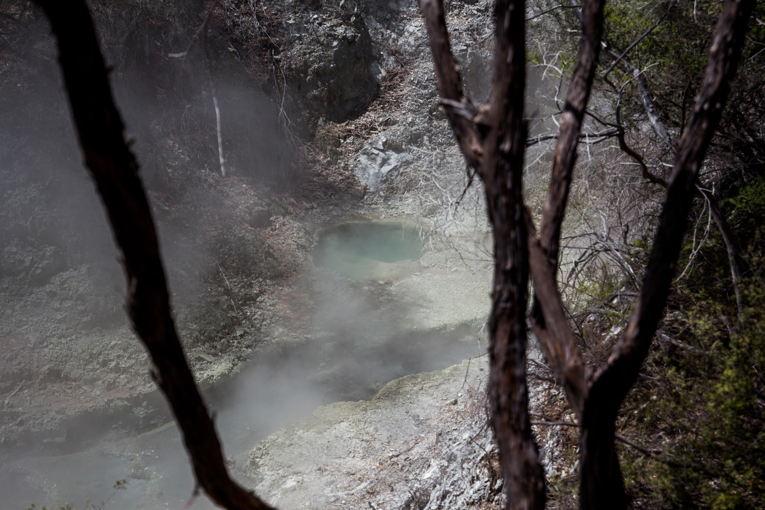 NewZealand-8952.jpg