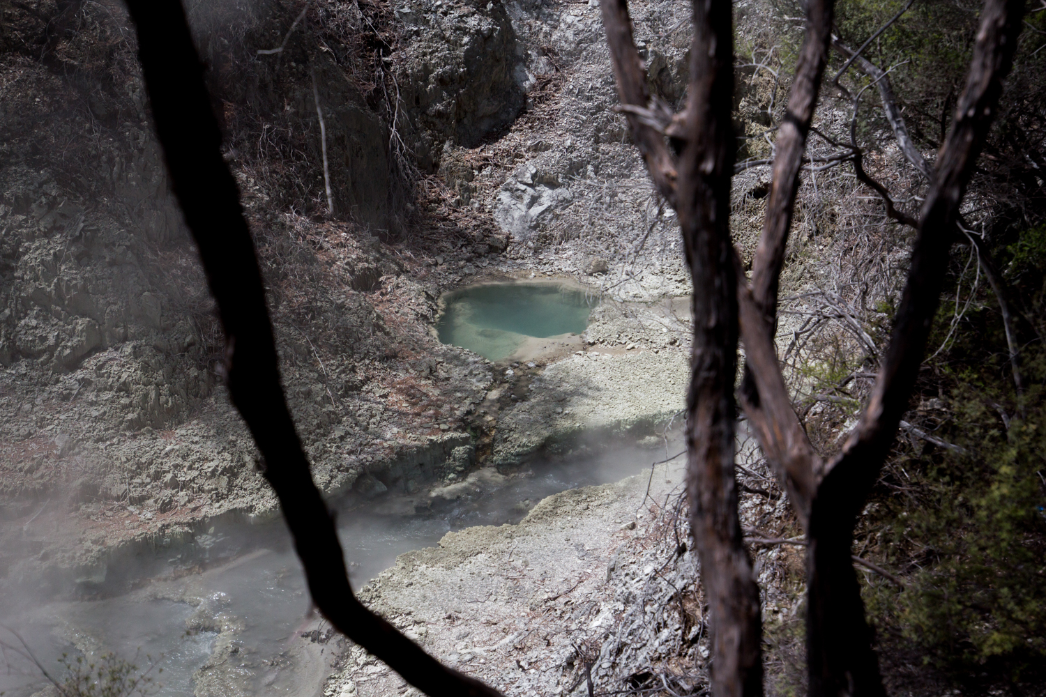 NewZealand-8955.jpg