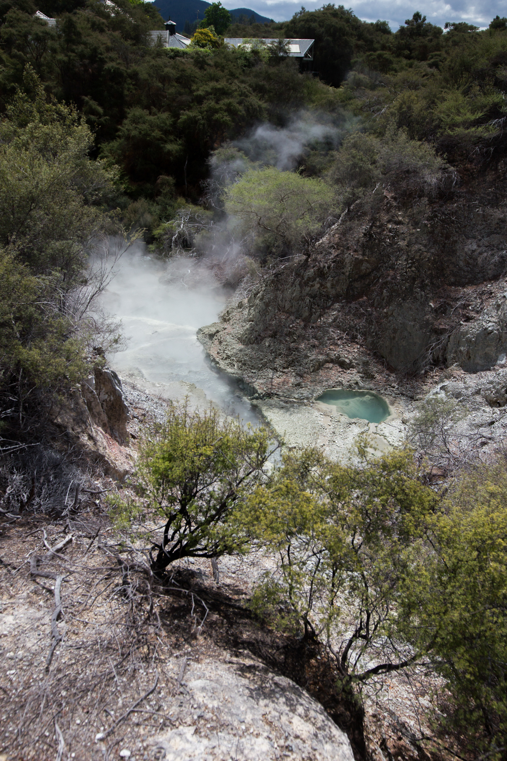 NewZealand-8958.jpg