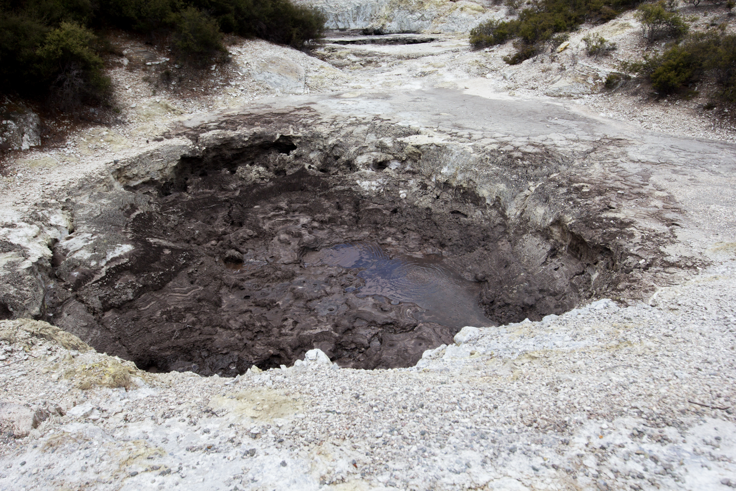 NewZealand-8971.jpg