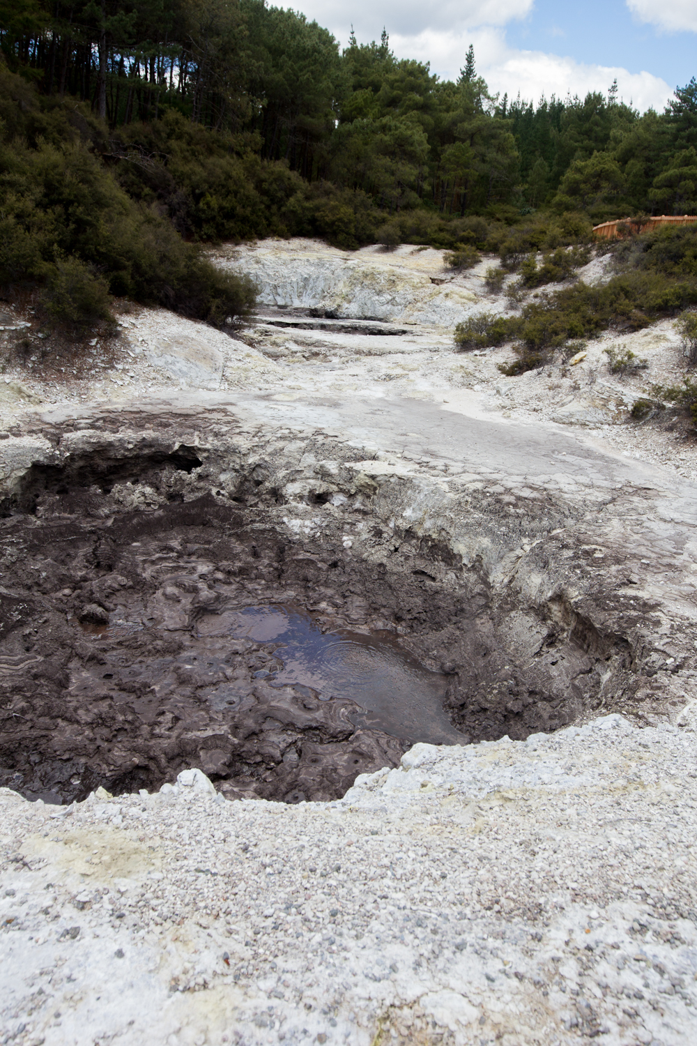 NewZealand-8972.jpg