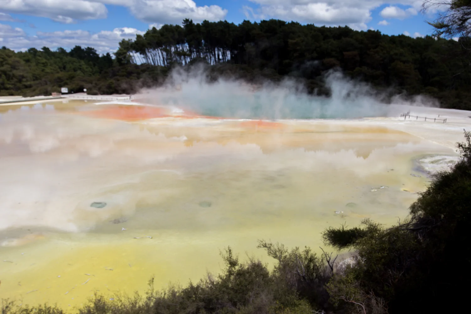 NewZealand-8977.jpg