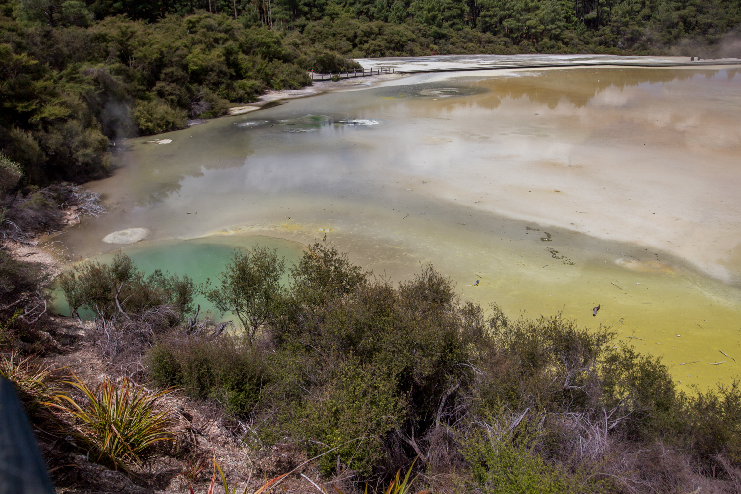 NewZealand-8981.jpg
