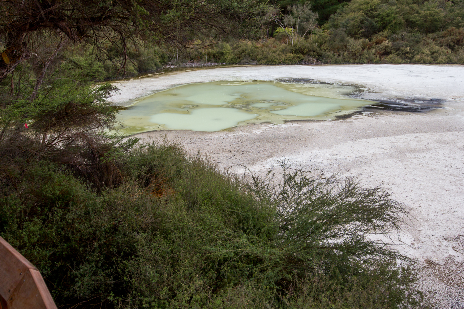 NewZealand-8991.jpg