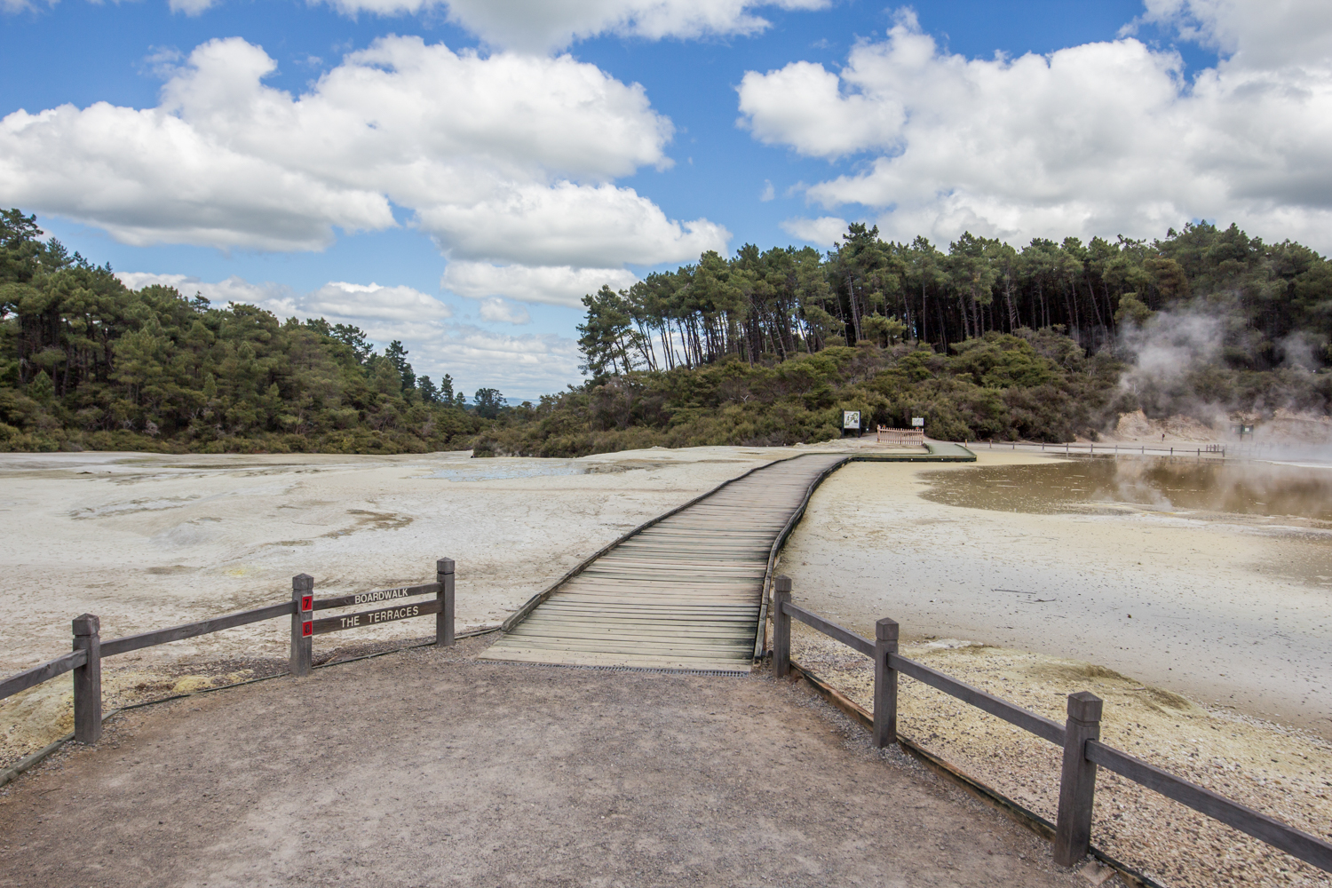 NewZealand-8992.jpg