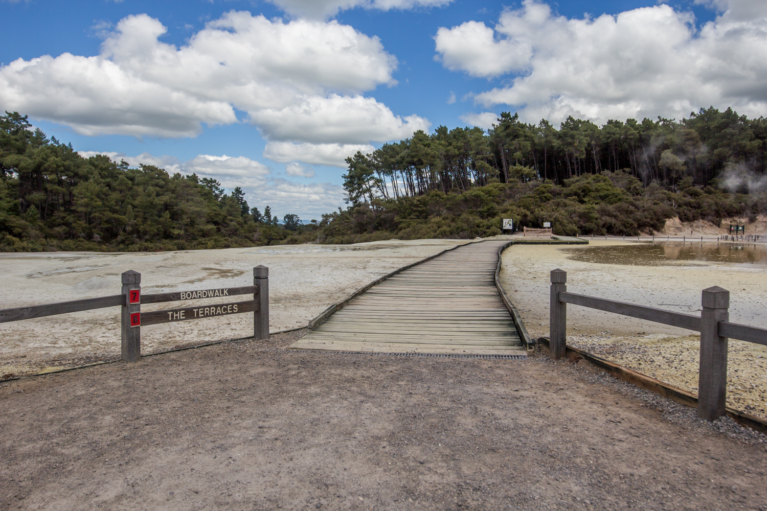 NewZealand-8993.jpg