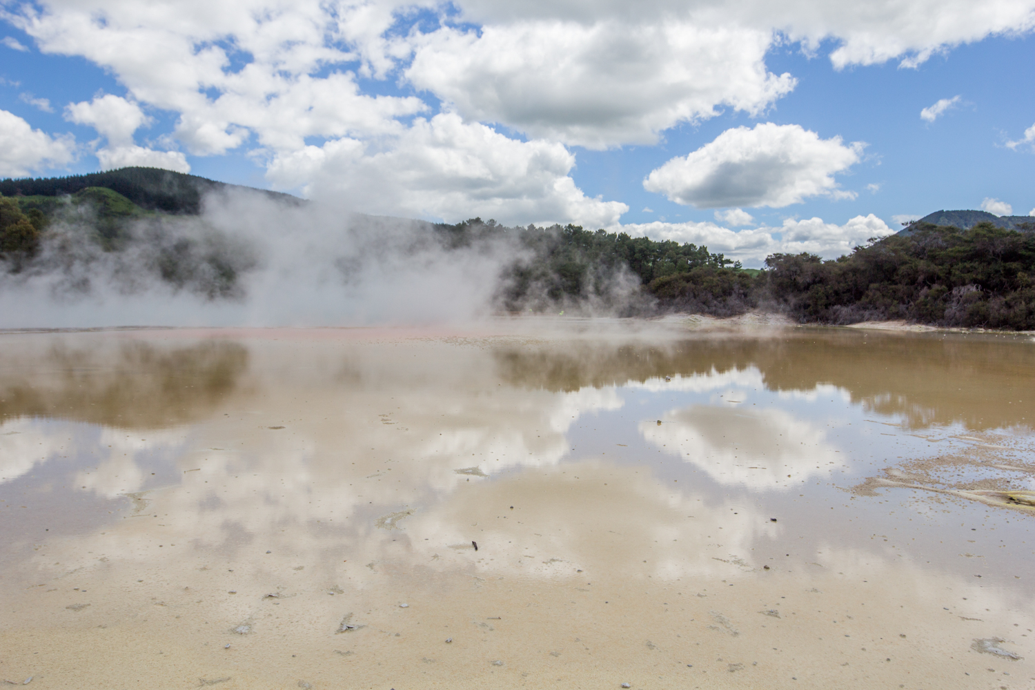 NewZealand-8996.jpg