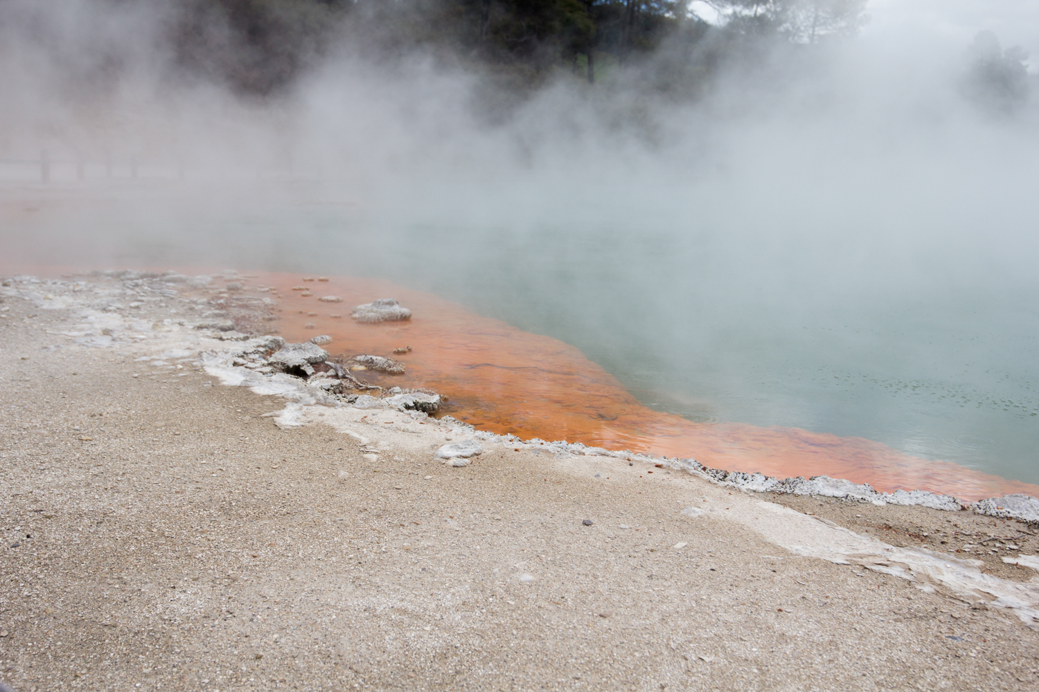 NewZealand-9005.jpg