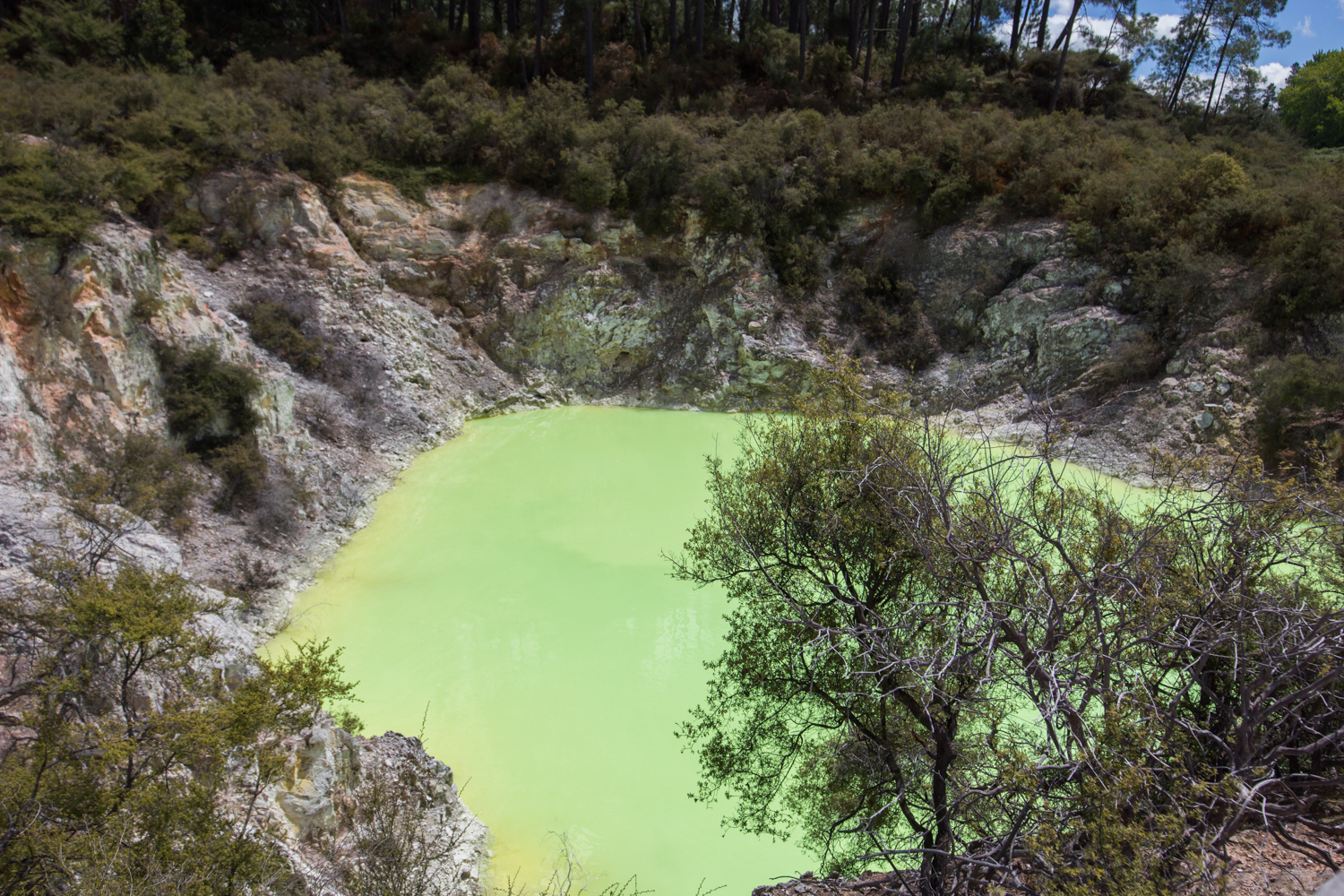NewZealand-9051.jpg