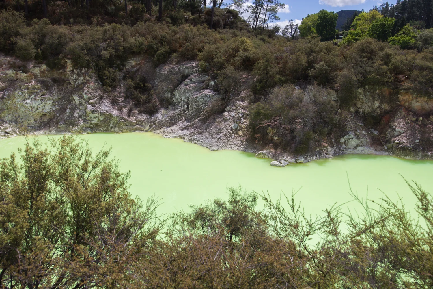 NewZealand-9053.jpg
