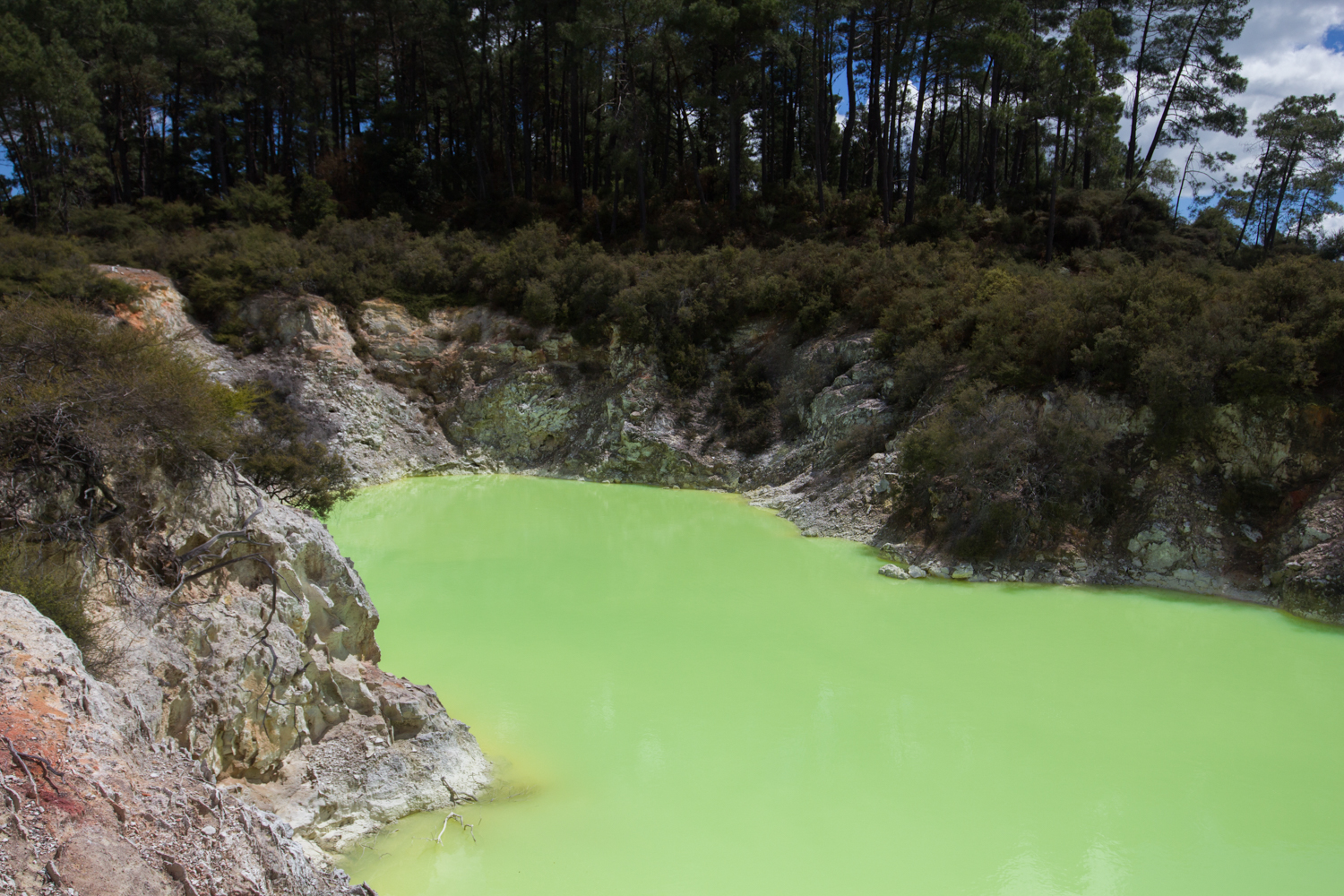 NewZealand-9063.jpg