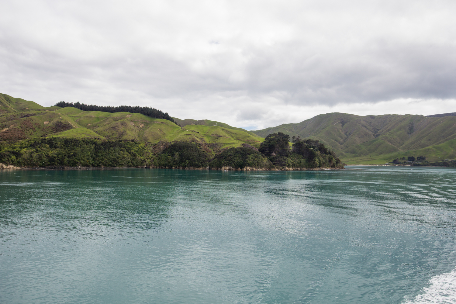 NewZealand-9087.jpg