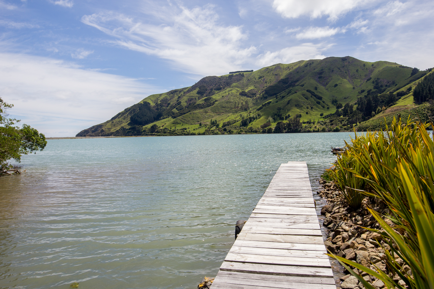 NewZealand-9173.jpg