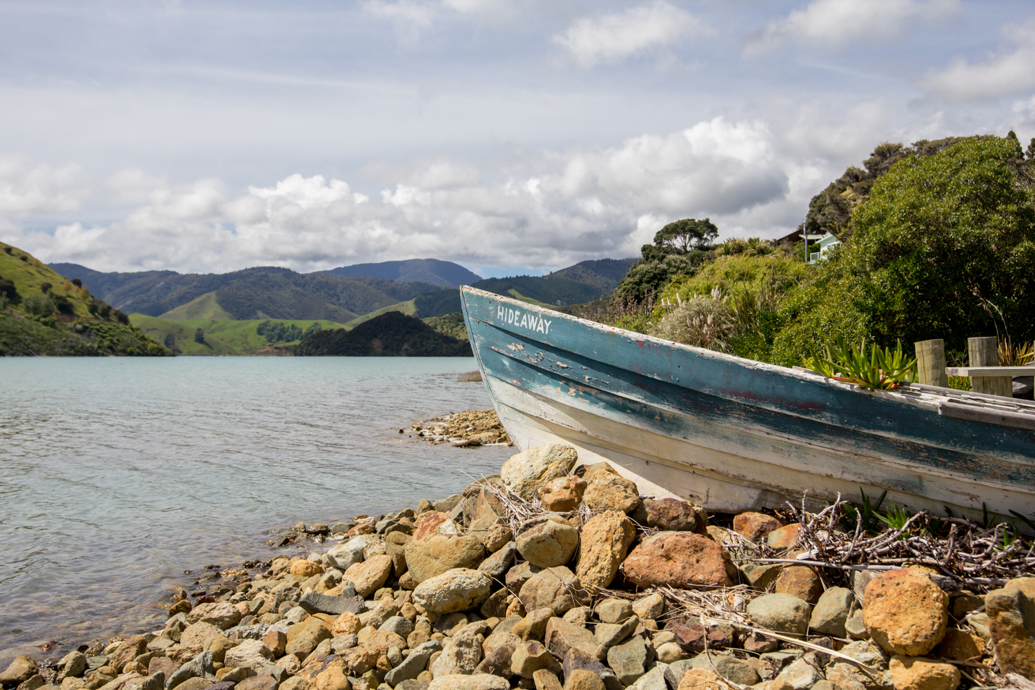 NewZealand-9186.jpg