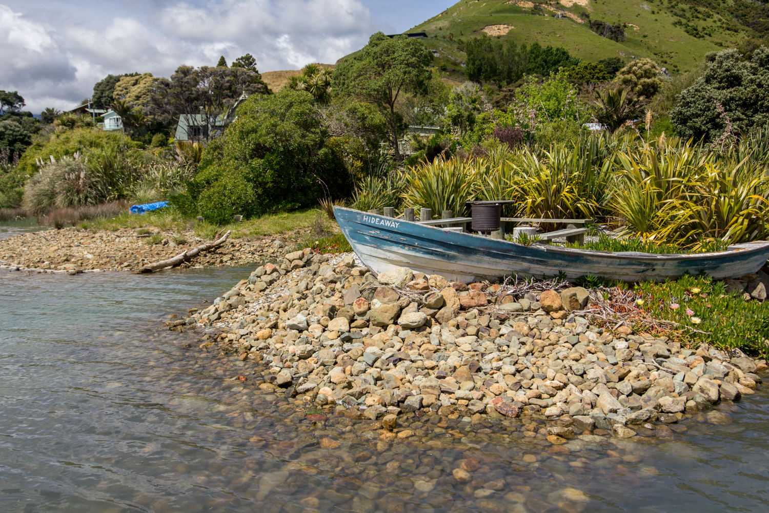 NewZealand-9192.jpg