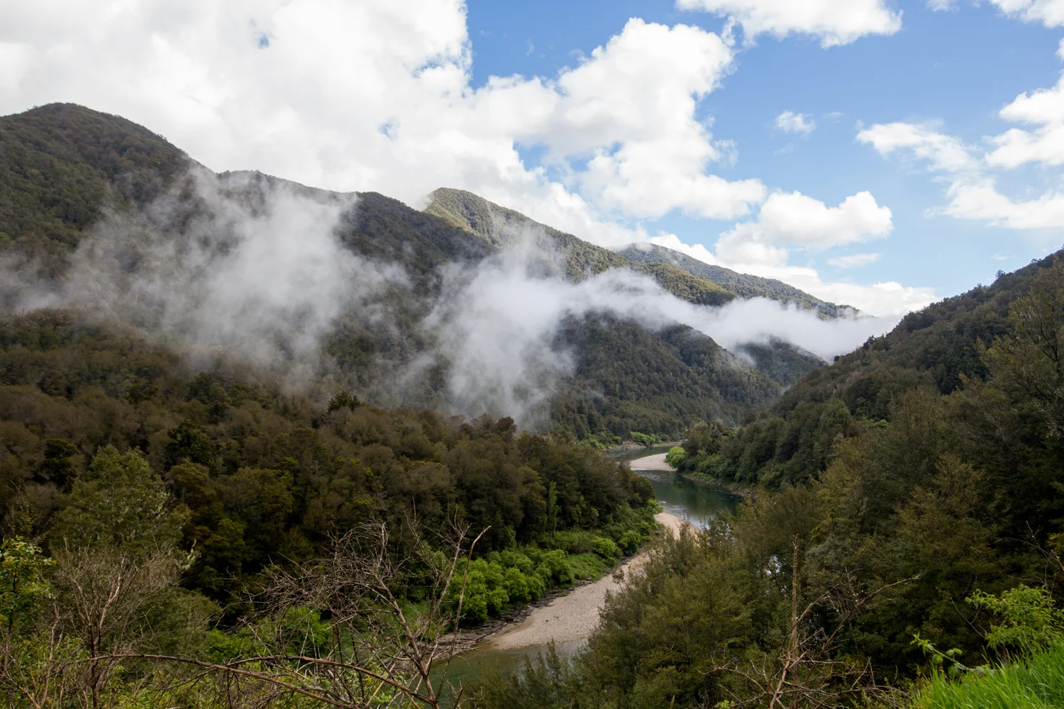 NewZealand-9474.jpg