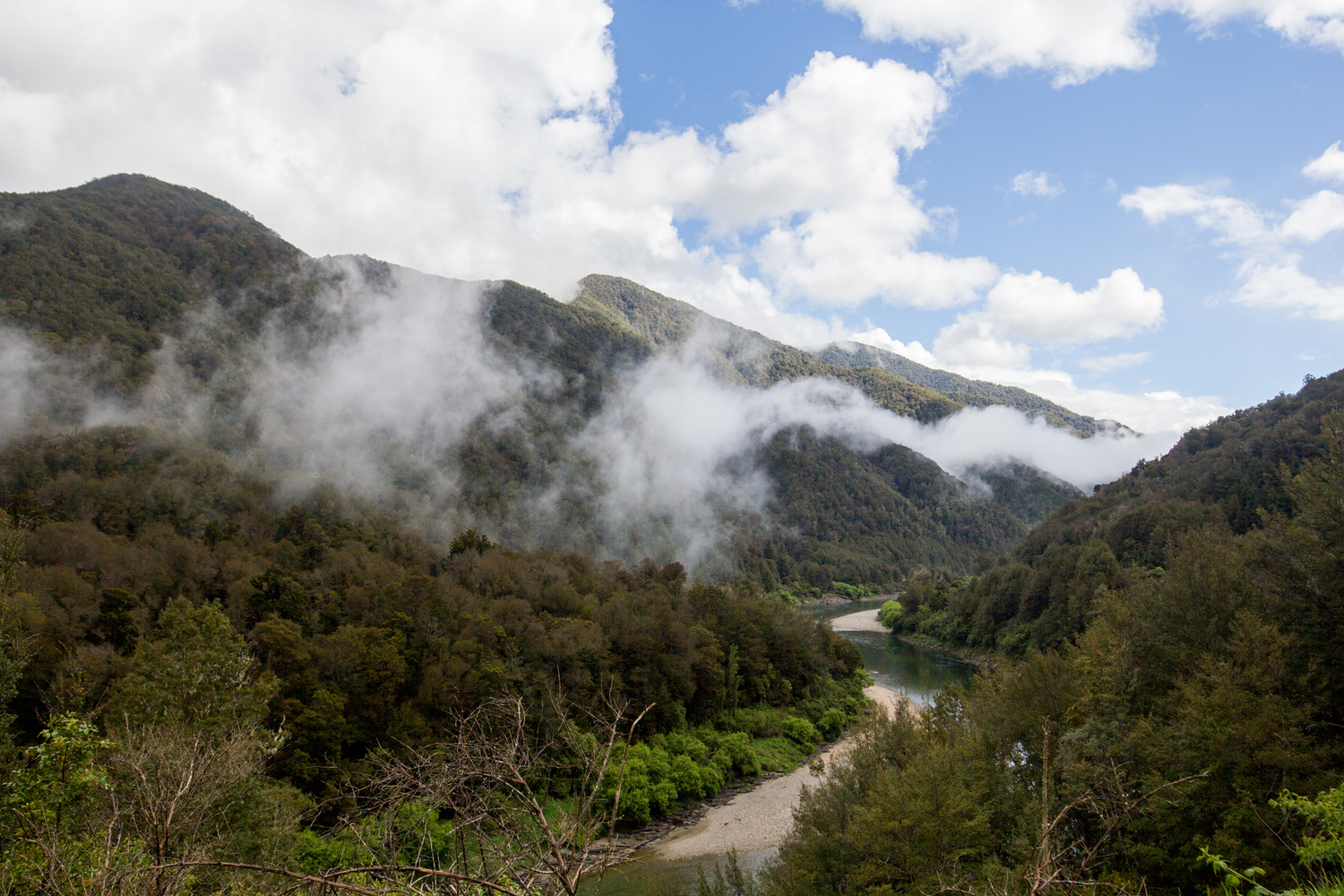 NewZealand-9477.jpg