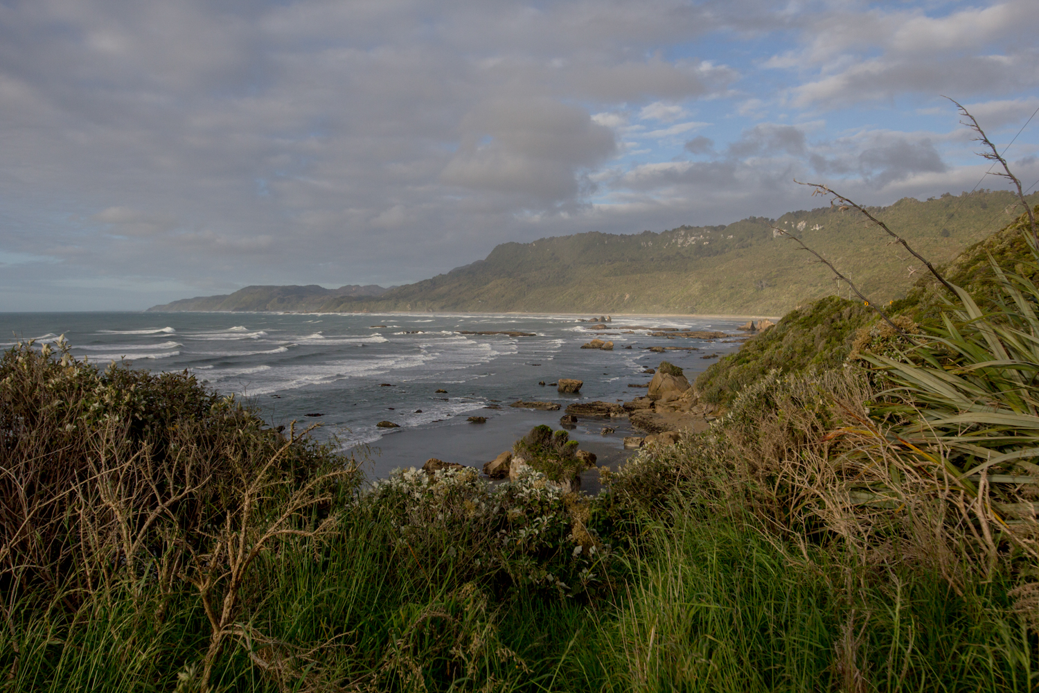 NewZealand-9503.jpg