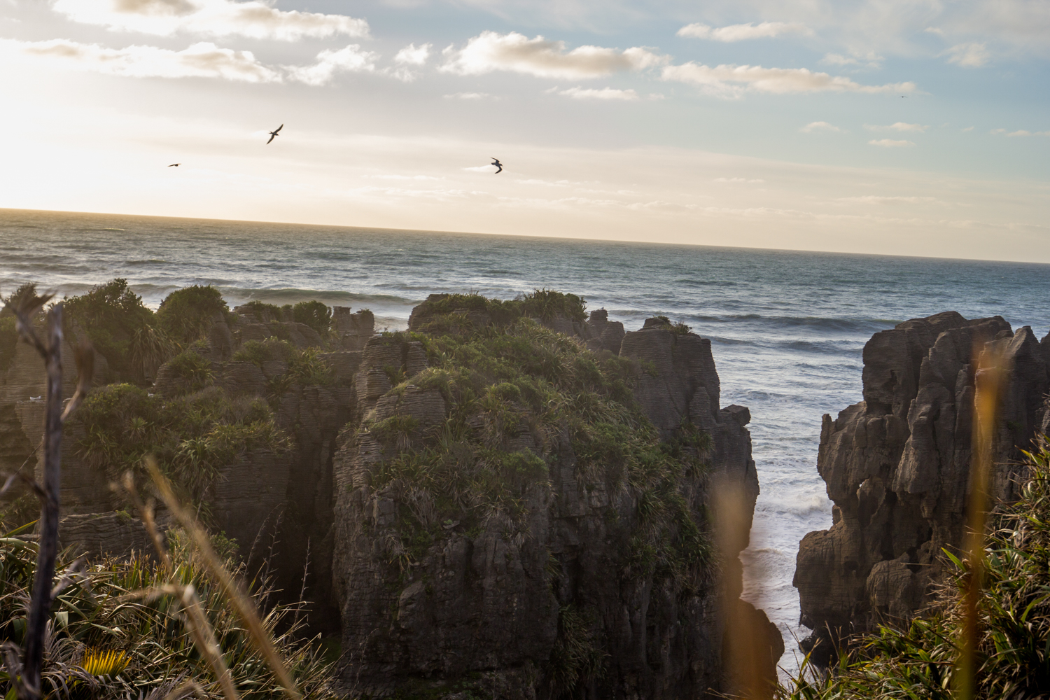NewZealand-9545.jpg