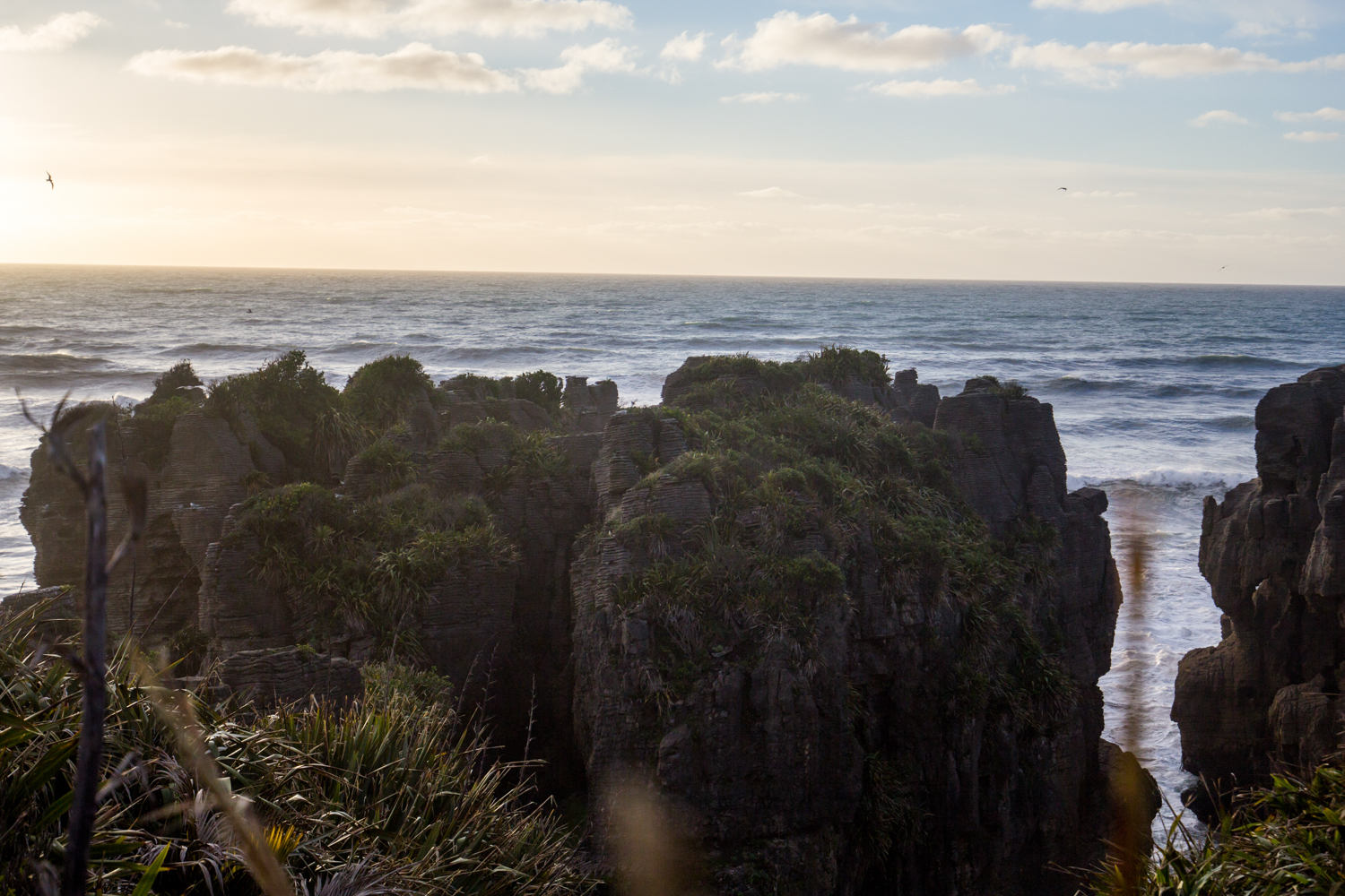 NewZealand-9551.jpg