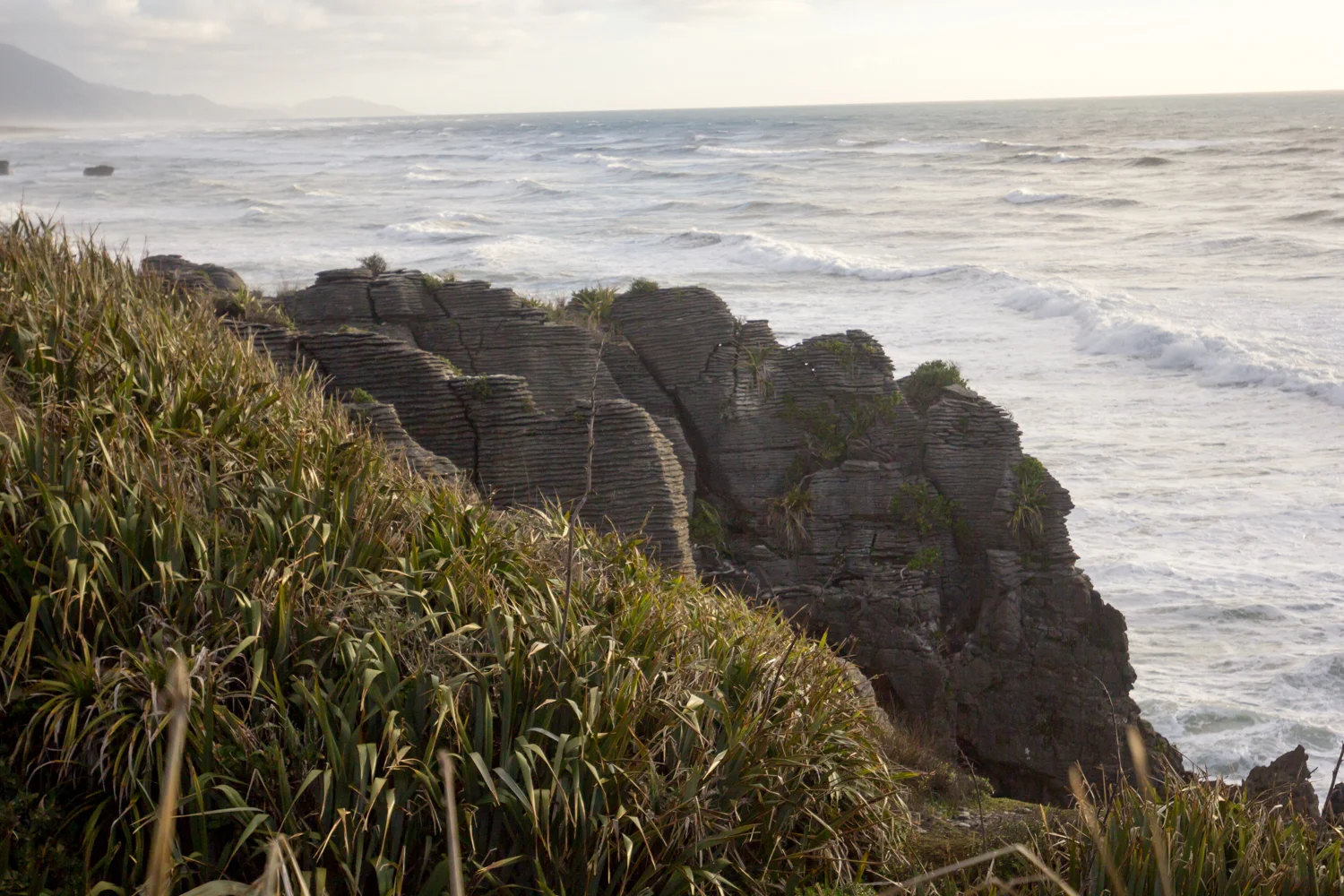 NewZealand-9552.jpg