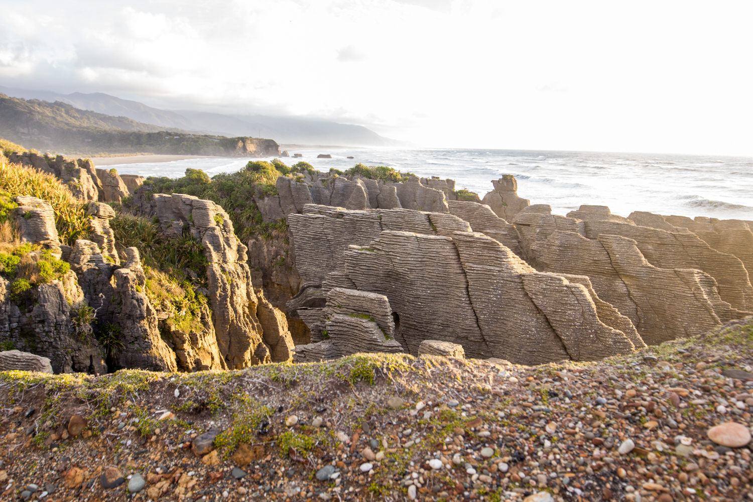 NewZealand-9570.jpg