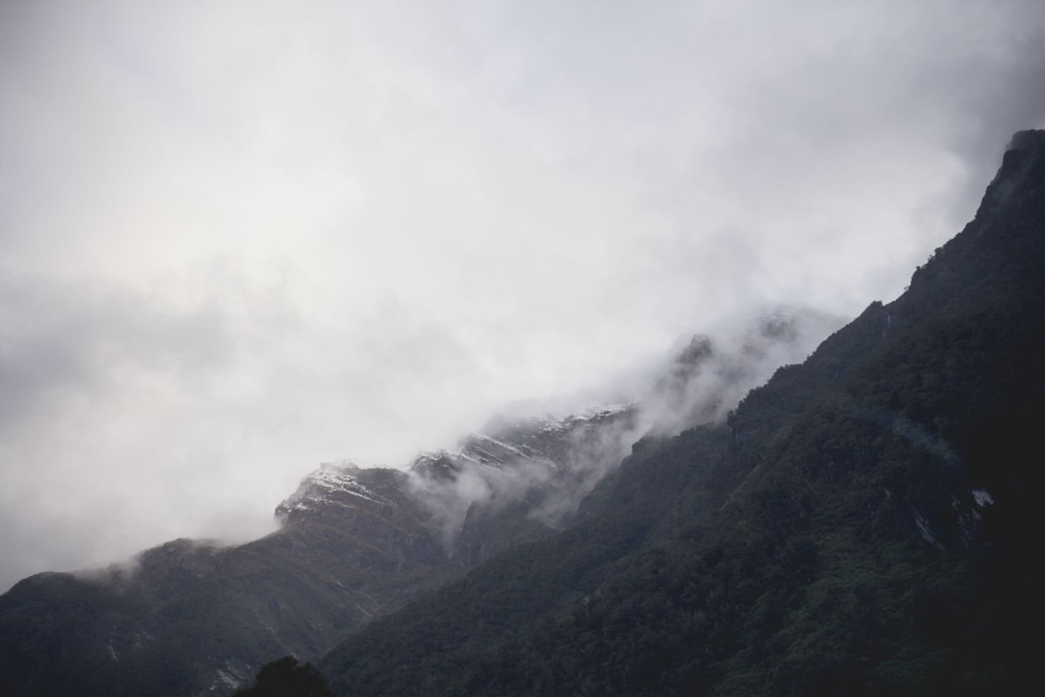 NewZealand-9799-2.jpg