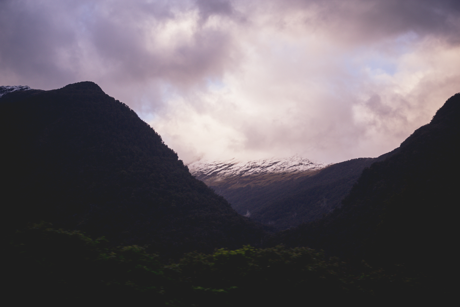 NewZealand-9826.jpg