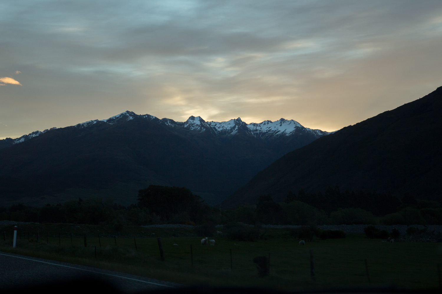 NewZealand-9904.jpg