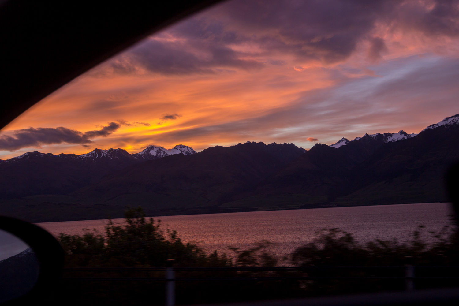 NewZealand-9936.jpg