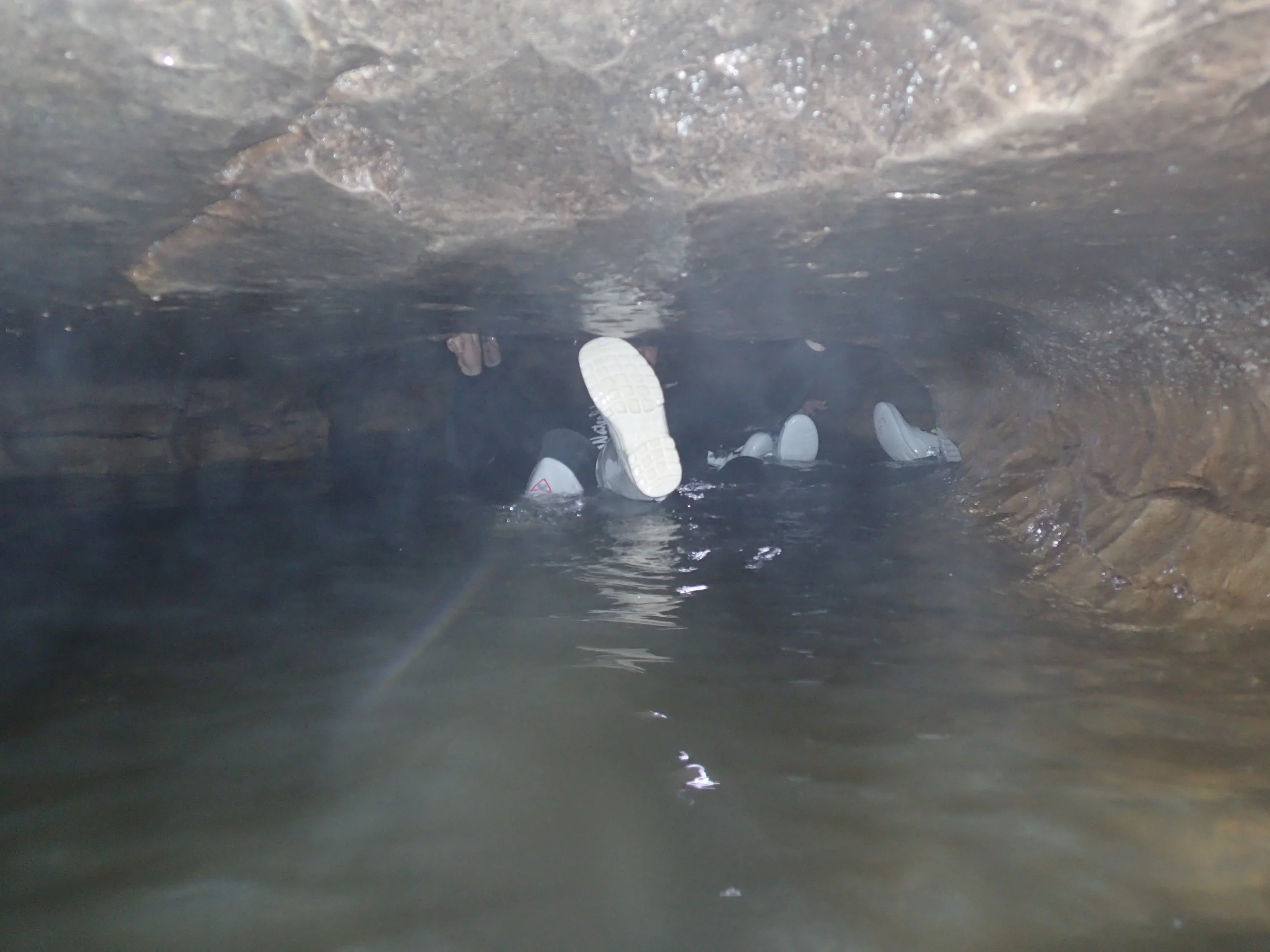 PA260057.JPG
