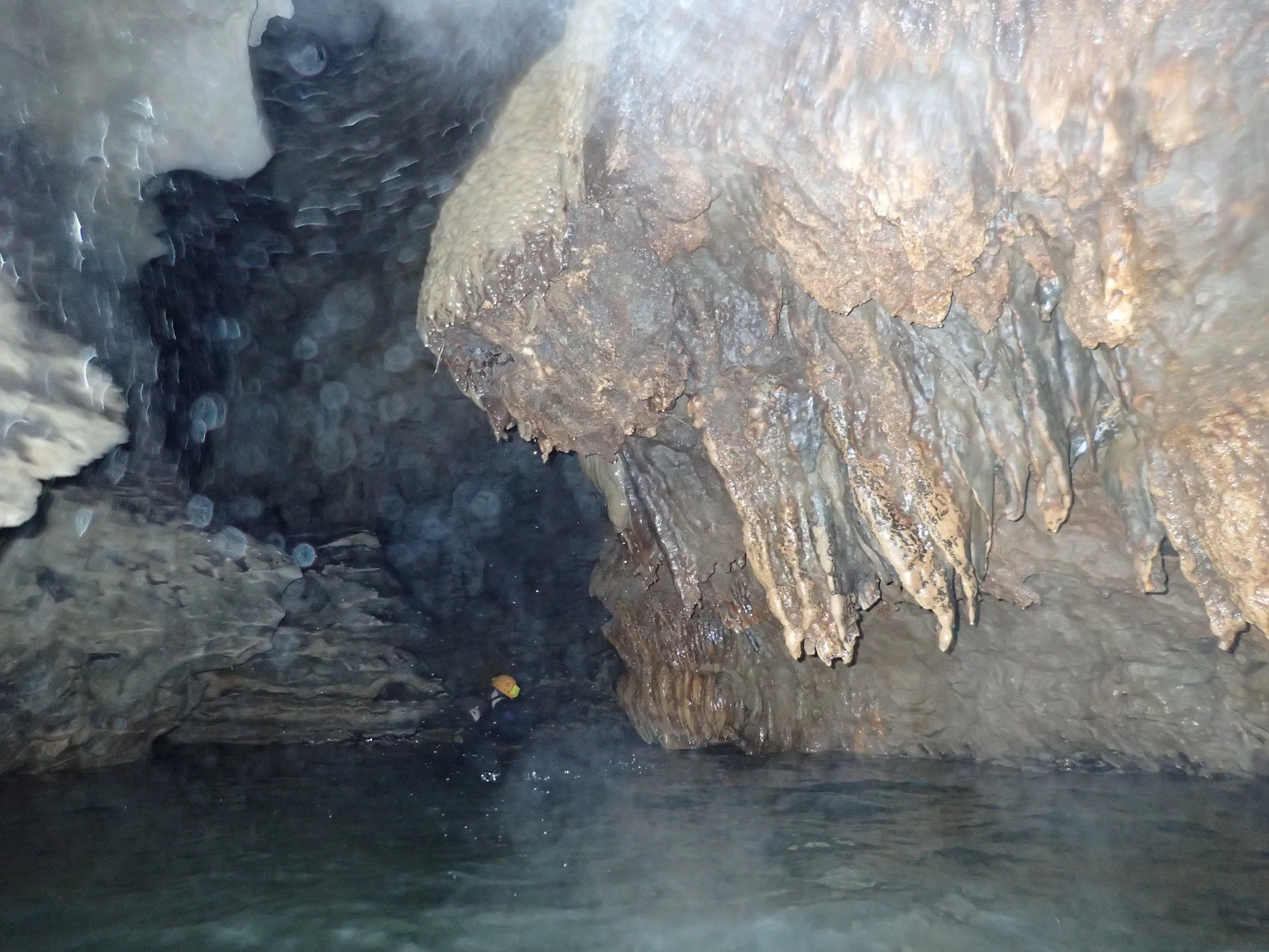 PA260095.JPG