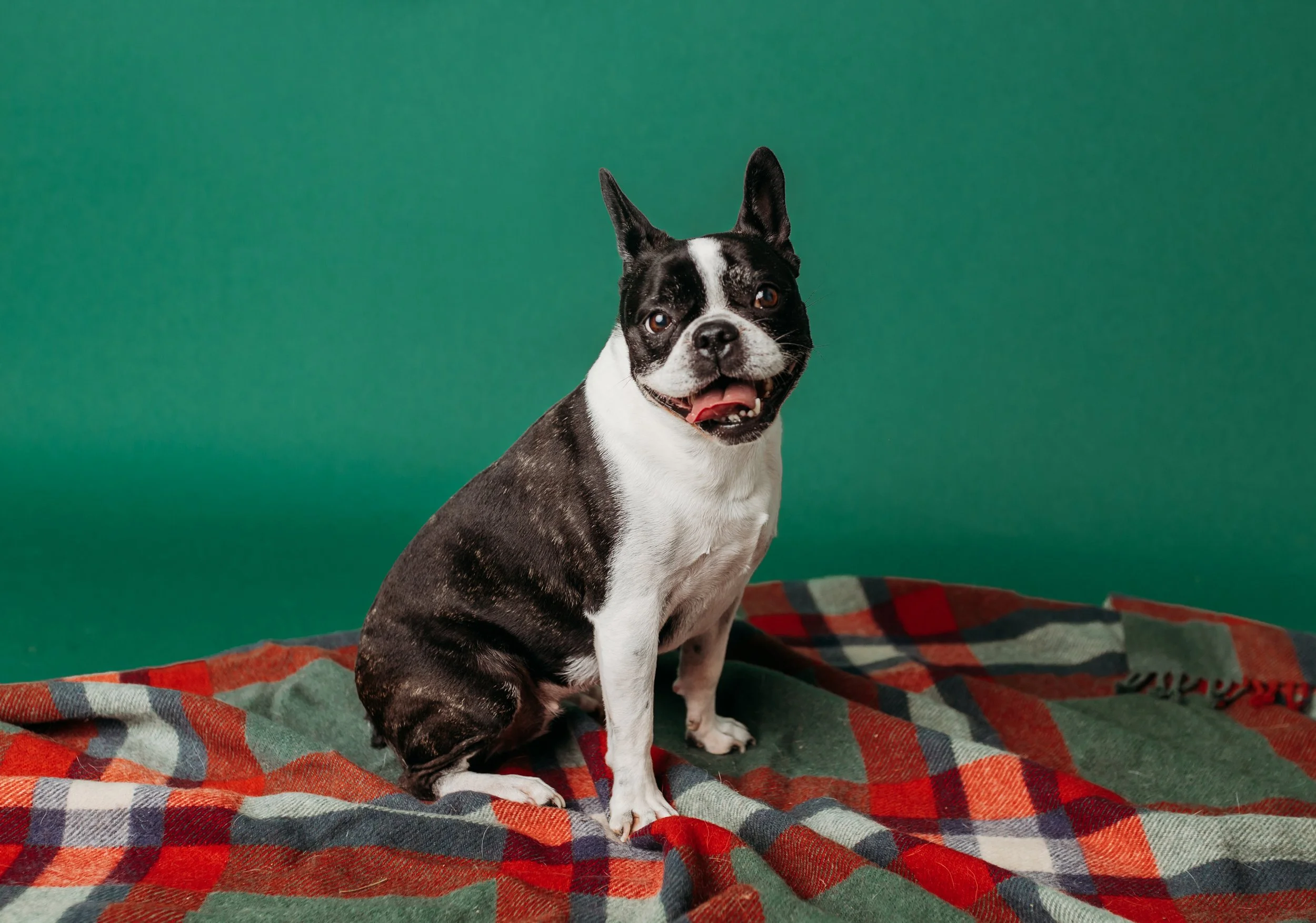 HowlidayWoolsey22-8658.jpg