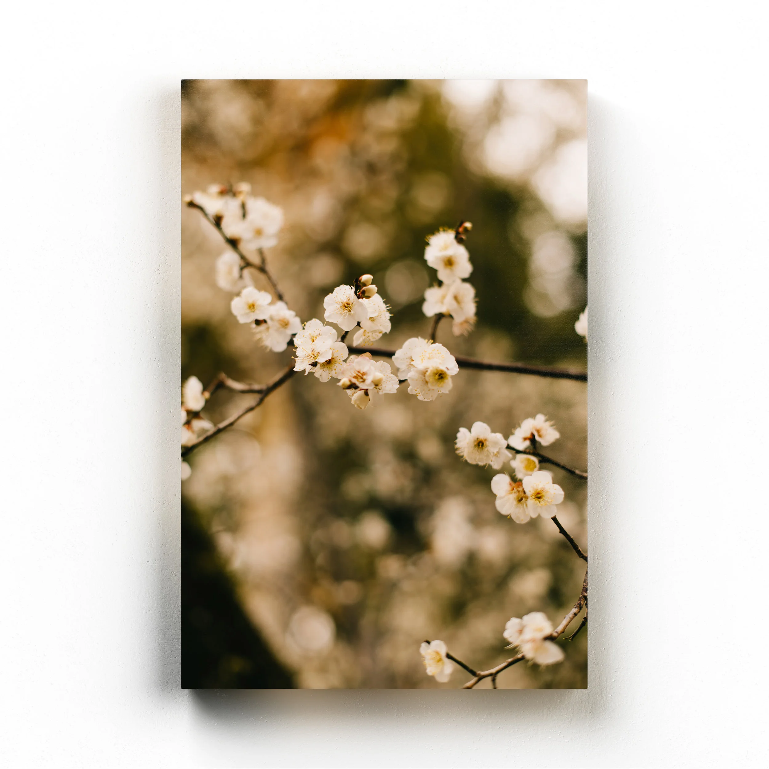 2x3 Portrait Canvas Mockup Hanging on Wall, Front View.jpg