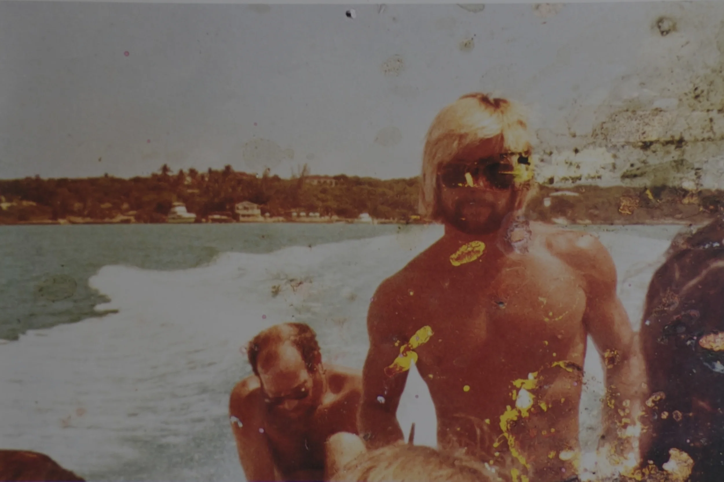 oceanfox_header.jpg