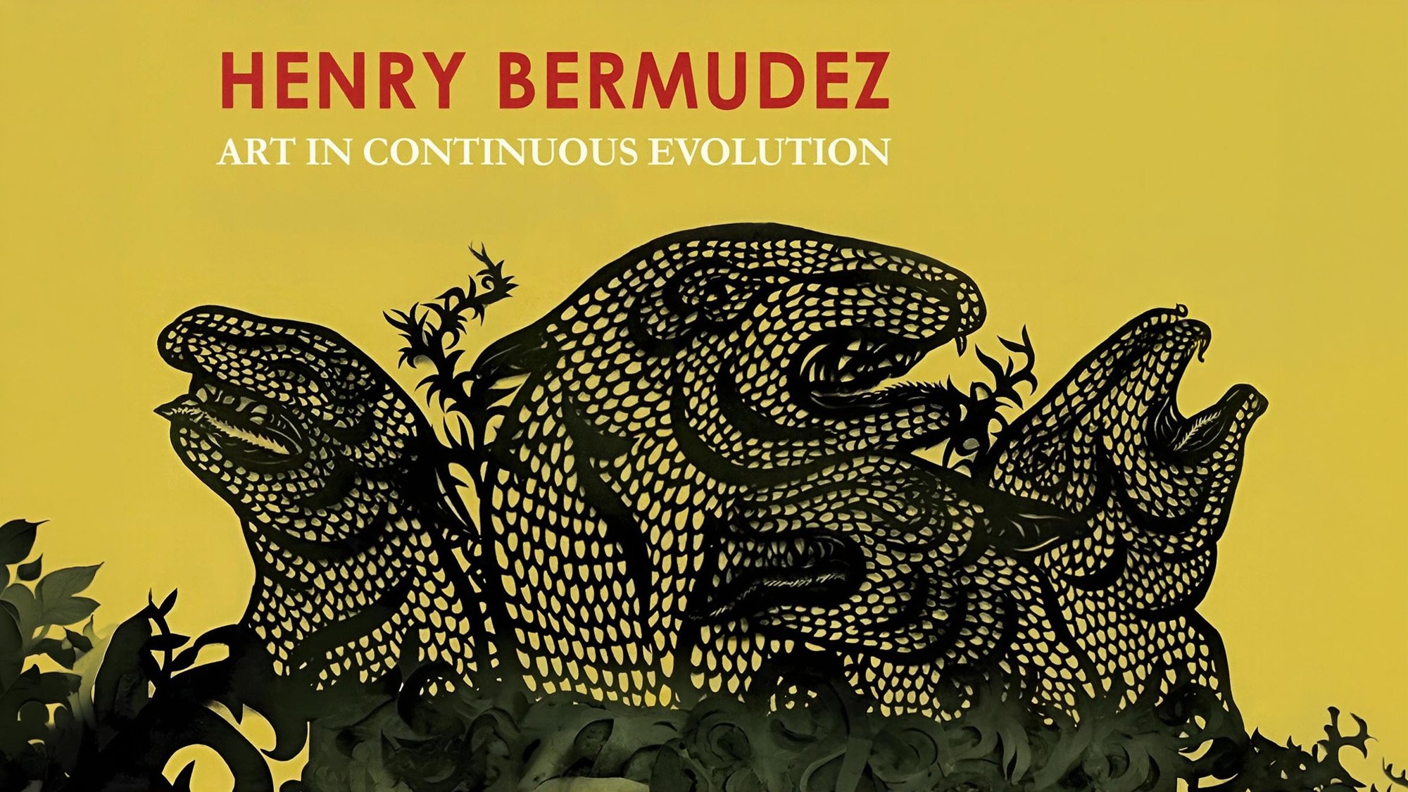 Henry Bermudez Art in Continuous Evolution